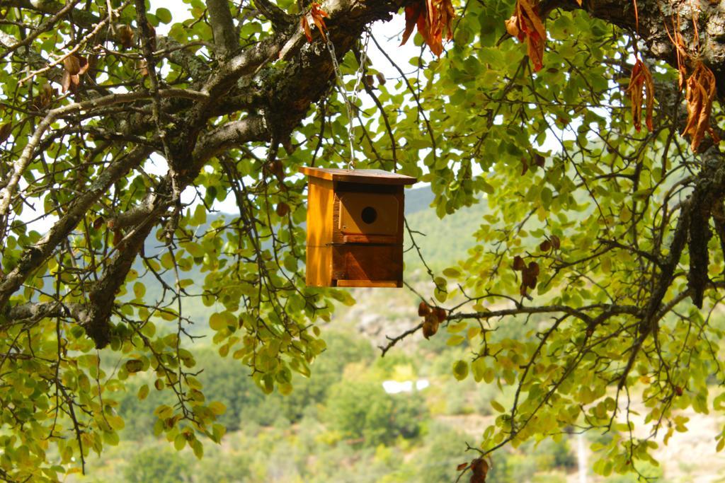 Albergue Turistico Via De La Plata Banos De Montemayor Luaran gambar